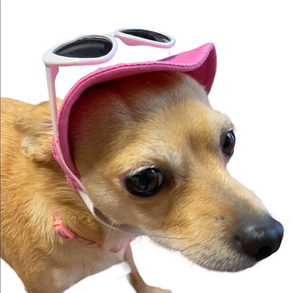 Dog Visor Hat & Sunglasses - Picture 4 of 9